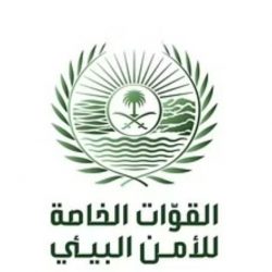 الإحصاء: 206 آلاف سعودي يعملون في قطاعات السياحة 41% منهم من النساء
