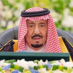 اليوم.. طرح المزاد الإلكتروني للوحات المميزة عبر “أبشر”