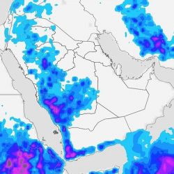 “التعليم” تعلن عن آلية إجازات نهاية الأسبوع المطوَّلة وما بين الفصول.. هنا التفاصيل