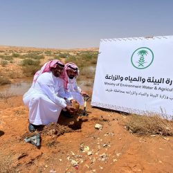 بالفيديو والصور .. ختام دورة المنظمات الرائدة نحو منظمة واعدة وقيادة فاعلة في مركز الوعد النموذجي بطريف