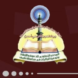 اليوم.. طرح المزاد الإلكتروني للوحات المميزة عبر “أبشر”