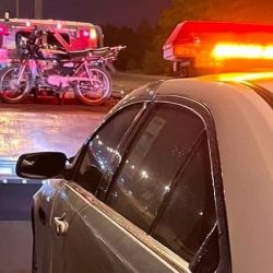 المزاد الدولي لمزارع إنتاج الصقور يختتم فعالياته بمبيعات تجاوزت 8 ملايين ريال لقاء 642 صقرًا