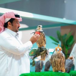 بالصور .. أفراح عائلة السقمي
