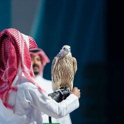 تحديث بـ ChromeOS يستدعي تحذيراً عالي الخطورة من “الأمن السيبراني”