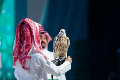 منتجون سعوديون يقدمون أغلى صقر حر في المنطقة