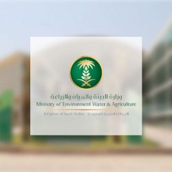 هيئة الاتصالات تعقد برنامجًا تدريبيًّا حول نظام أسماء النطاقات وتقنية الامتداد الآمن