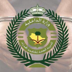 القوات الخاصة للأمن البيئي تضبط (29) مخالفًا لنظام البيئة لارتكابهم مخالفات رعي