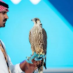 الحقيل: المركز الوطني للتفتيش والرقابة ركيزة جديدة لتطوير بيئة الأعمال بالسعودية