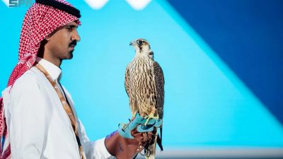 321 ألف ريال قيمة 3 صقور في الليلة الثامنة لمزاد نادي الصقور السعودي