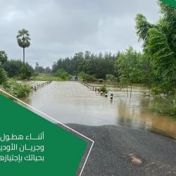 أمير منطقة الحدود الشمالية يستقبل مدير جمرك جديدة عرعر