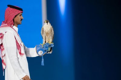 مبيعات مزاد نادي الصقور السعودي تتجاوز حاجز الـ 3 ملايين ريال في الليلة الـ 18