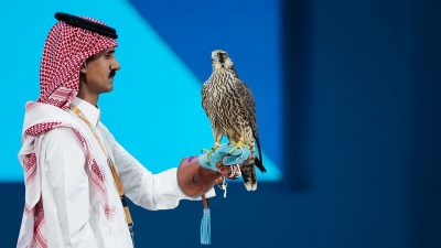 بيع أول صقر بـ135 ألف ريال في باكورة ليالي مزاد نادي الصقور السعودي