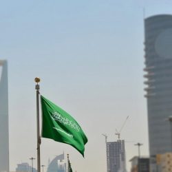 قِط الصحراء “هدَّاف” تميمة كأس العالم للأندية السعودية 2023