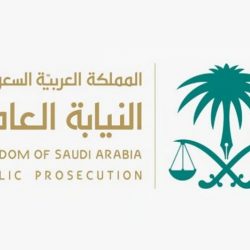 في 24 تخصصًا أكاديميًّا.. “تقويم التعليم” تطلق ثاني مراحل “برنامج جاهزية”