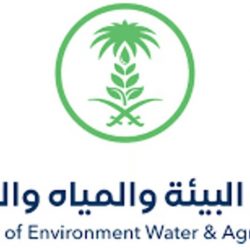 الأمن العام: القبض على 19 متهما بارتكاب جرائم متنوعة