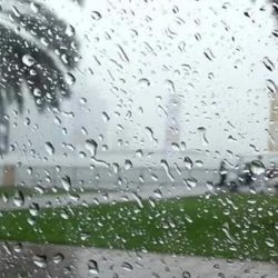 بالفيديو .. ابن طريف أحمد فايز الدوسري يحصل على المركز الثاني في  بطولة آسيا لألعاب القوى بالفلبين