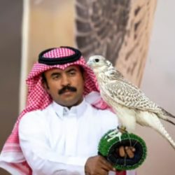 خطيب المسجد النبوي: إن القلب ليعتصر ألماً وحسرة لما حل بأهلنا في غزة من كربة ونكبة والظلم لا يدوم ولا يطول وسيضمحل ويزول