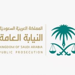 «الإحصاء»: انخفاض الرقم القياسي العام للإنتاج الصناعي 12.3% خلال أكتوبر 2023