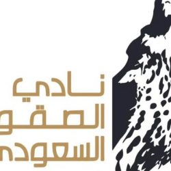 تمكين «التأمينات» من التسوية مع المخالفين للإعفاء من الغرامات