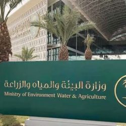جسر الملك فهد : صلاحية الهوية أو الجواز 3 أشهر شرط السفر إلى البحرين