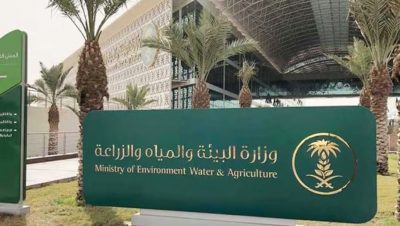 «البيئة» تطلق مسرعتي سدرة وريف لتنمية الابتكار وريادة الأعمال في قطاعات الوزارة
