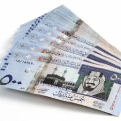 النيابة العامة تأمر بالقبض على شخص ظهر في مقطع فيديو وهو يُطلِق النار على حيوان