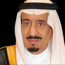 للمرة الثالثة.. مهرجان الملك عبدالعزيز للصقور 2023 يدخل “غينيس”
