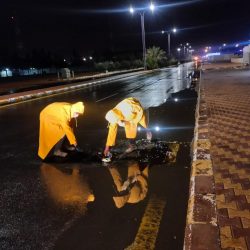 تمكين «التأمينات» من التسوية مع المخالفين للإعفاء من الغرامات