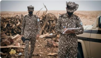 ضبط 3 مواطنين لدخولهم محمية الملك سلمان الملكية وقيادة مركبة دون لوحات