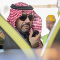 ضمن 16 قراراً .. مجلس الوزراء: السماح للشركات الزراعية وكبار المزارعين بزراعة القمح والأعلاف الموسمية