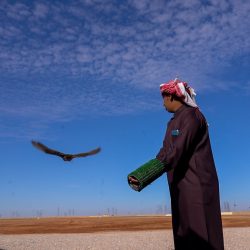 الصقار محمد مقيبل يستعرض الأدوات التي تشكل حياة الصقر