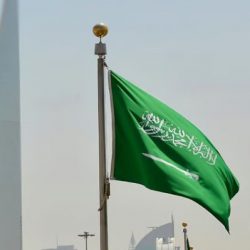 “حساب المواطن”: لا يلزم التحديث إذا لم يطرأ أي تغيير على البيانات