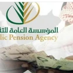 الأمن العام: القبض على عدة متهمين بارتكاب جرائم متنوعة