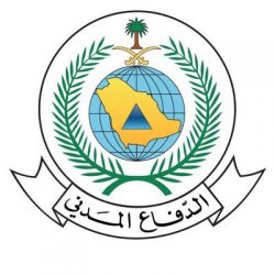 300 مليون ريال قيمة صفقات العقار بمنطقة الحدود الشمالية في 2023 م