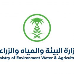 الموافقة على نظام “حماية المبلّغين والشهود” وعلى تنظيم هيئة السياحة.. الملك يترأس جلسة “الوزراء” والمجلس يُصدر 13 قراراً