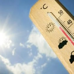 الأحوال المدنية تحدد مواعيد العمل بالفترة المسائية خلال رمضان