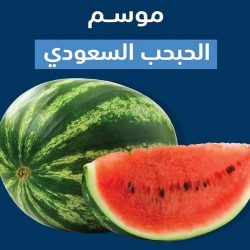 منصة إيجار : 250 ريالاً رسوم خدمة تقبيل العقد السكني و400 ريال للعقد التجاري