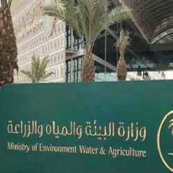 طرح 6 مواقع تعدينية في السعودية أمام الشركات المحلية الأسبوع المقبل