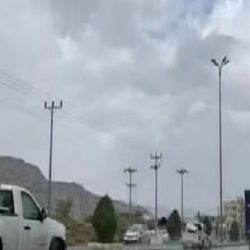 اعتماد سياسة التدريب التعاوني لطلبة التعليم الجامعي