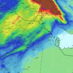 وزارة الصحة تعلن رسمياً فتح بوابة القبول والتسجيل لبرنامج “فني التجبير”