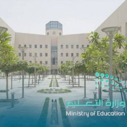 4 مخالفات مؤثرة تقصيك من دائرة “تخفيض الـ 50%”.. “المرور” توضح