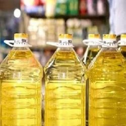 انخفاض نسبة القضايا العمالية في المملكة بـ 23% خلال الربع الأول من 2024
