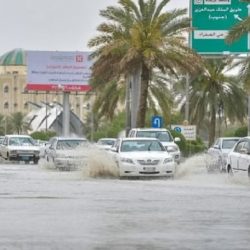 بالفيديو والصور .. عروض العيد لدى الماجد للعود بطريف “الماجد يكمل العيد”