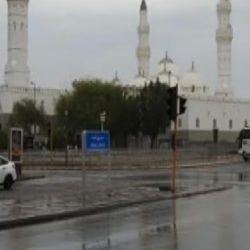 لا تؤجلها.. “عش بصحة”: اعرف 6 أسباب تجعل اللقاح في وقته ضروريًّا