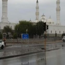 كيف تحمي نفسك من الاحتيال المالي عند تسديد المخالفات؟