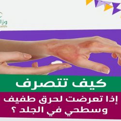 طقس الخميس.. الفرصة مهيأة لهطول أمطار رعدية مصحوبة برياح وأتربة على عدة مناطق