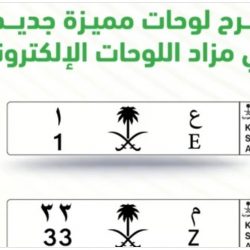 برئاسة المملكة.. بدء اجتماع الفريق العربي لمتابعة اتفاقيات التصحر والتنوع البيولوجي