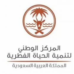 تزداد بنسبة “11%”.. “عشْ بصحة” توصي بتجنب تفاقم نوبات الربو خلال الأمطار