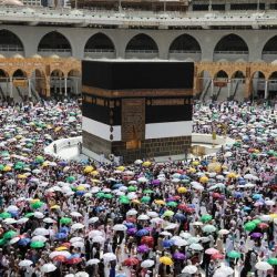 “الموارد البشرية” تمكّن 21744 مستفيداً ضمانياً في سوق العمل