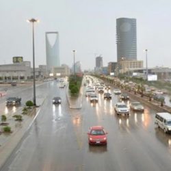 الحدود الشمالية.. “مكافحة المخدرات” تقبض على مواطن لترويجه “الإمفيتامين”